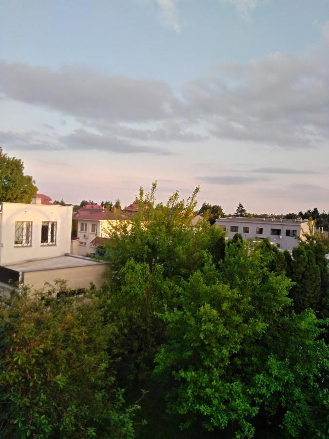 Bed and Breakfast La Madriguera Рашин Екстер'єр фото