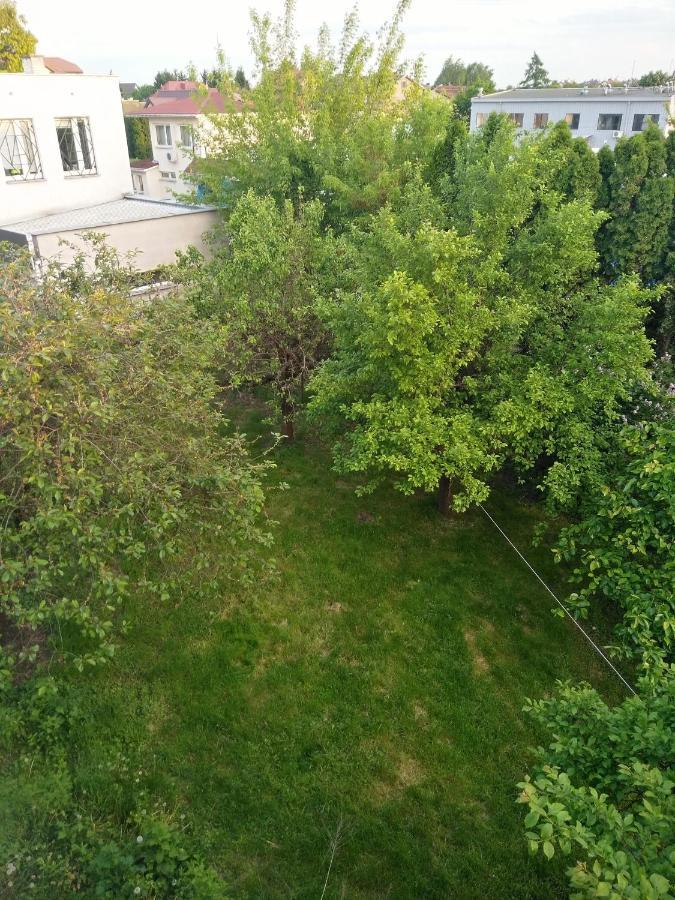 Bed and Breakfast La Madriguera Рашин Екстер'єр фото